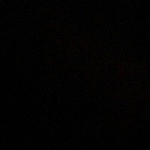 Meet your Posher, Niko